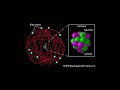 Rutherford-Paulo_Brito&Pedro_Costa.wmv