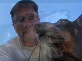 A memorial tribute to Chippy, our pet dachshund and loyal companion of 11 1/2 years. We love and miss you so much. Thank you for all you gave us...Without saying a word you spoke right to our hearts.