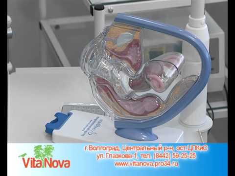 Видео: Клиника “Витанова ЭКО” в Волгограде