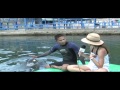 Acuario y Museo del mar del Rodadero