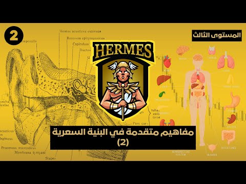المستوى الثالث- الدرس ٢: مفاهيم متقدمة في البنية السعرية Market Structure- الجزء الثاني