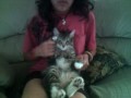 me and my cat waffles