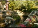 Knut