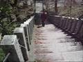 '08年4月22日【名残の春の池田山】36号