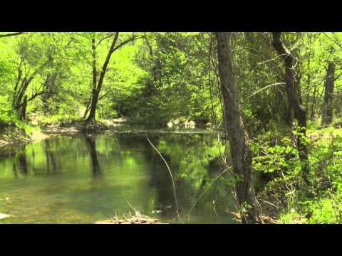365 acres Bear Creek, NC