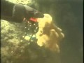 ROV ROPOS: InEx Hex