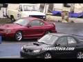 T-Rex WRX VF39 Vs Corvette vs Mustang & 5.0