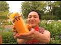 Jose's garden