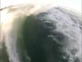 Wakeboarder Joined By Dolphins