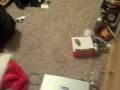 videos de Dec 28 2007 - VID00003