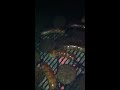 Click here to watch this video Moves being made