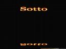 Videopoesia:incontro a due voci