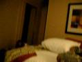 My Tampa Roommates