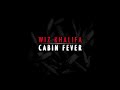 Wiz Khalifa – Hustlin (CLEAN VERSION) w/ DOWNLOAD