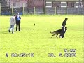 BH-Ioana&Pablo(German Sheppard)