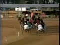 Corrida de charrete