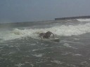 Kes�n 2008 Surffit