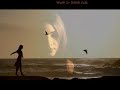 معمول حسابه. رامى جمال