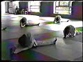 1999 yong in Hapkido workout