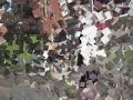 Trick Shots