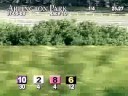 ARLINGTON PARK, 2008-07-05, Race 10