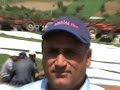 BABAK�Y 4