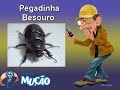 Mucao-com-br-Pegadin