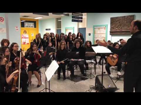 cerco una ragazza per amore youtube