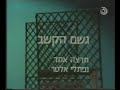 יעל לוי - גשם הקשב לנשים - חלקי