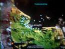 Google Earth: Tour from Robinson Crusoe Island Google Earth: Tour from Robinson Crusoe Island