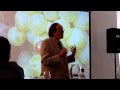 Conferencia de Nicolas Joly en el SIG 2009