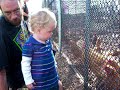 Abigail eating with the chickens