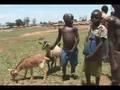 videos de Uganda VETCAP