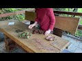 BCMG learning resources 'In the Garden' example video