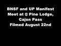 BNSF & UP Manifest trains Meet at Pine Lodge