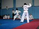 Examen 2007 para 1er DAN - ETRA