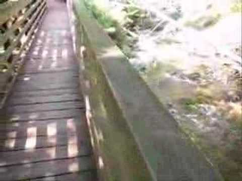 Strolling, Through Lithia Park in Ashland, Oregon