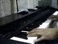 Wait Forever - Gary V