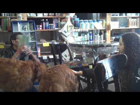 Goldens retreivers and green smoothies