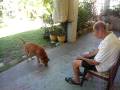 videos de Awelo Neco con Gory Enero '08