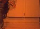 Picaso the dancing goo