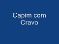 Capim com Cravo.wmv