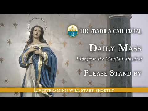 Daily Mass at the Manila Cathedral – August 17, 2022 (7:30am)