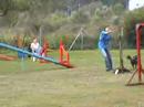 Agility A-Lauf Herborn 2005