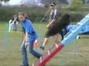 Agility A-Lauf Herborn 2005