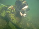 1st Chinook dive for 2008