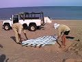 Cape York sea turtle at Mapoon