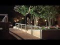 The Cinematographer Project - Transworld Skateboarding - OFFICIAL Trailer