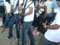 Vasco Rock 2009- C20.1