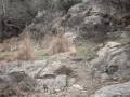 Airsoft Video1 Airsoft Video1